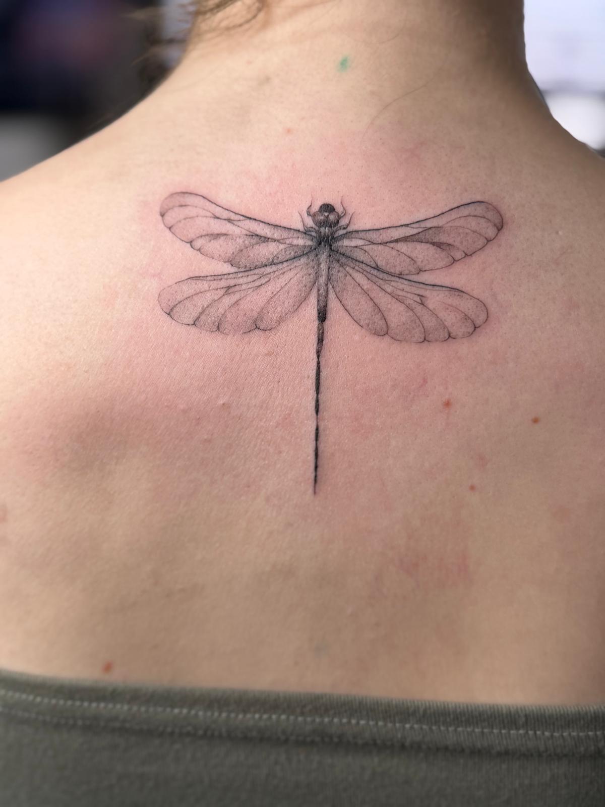 Dragonfly — Back