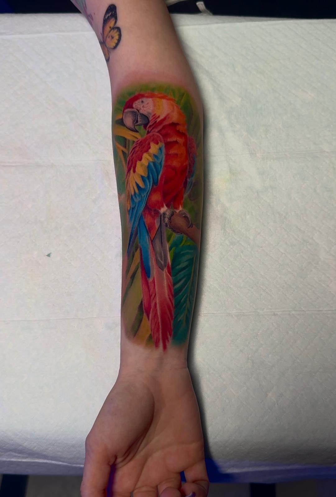 Color Realism — Macaw